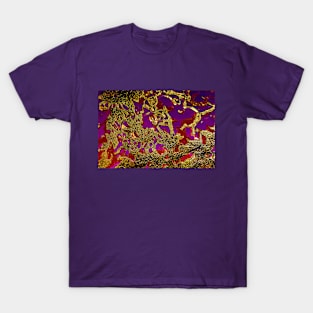 Damascene Abstract Background T-Shirt